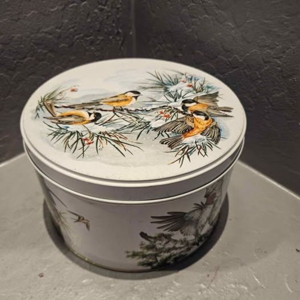 Vtg BIRDS TIN CONTAINER 1982 Tom Sturgis Pretzels Feathered Friends 10" x 6.5”